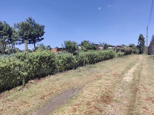 Quarter Acre for Sale in Ngecha Kiambu County - thumbnail 11