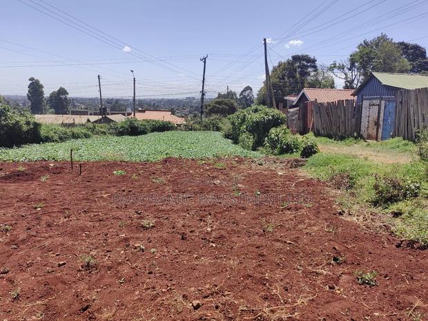 Quarter Acre for Sale in Ngecha Kiambu County - thumbnail 12