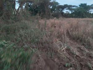 Prime Plots - thumbnail 2