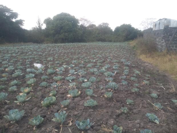 Prime Plots - thumbnail 3