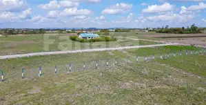 50 by 100 Plots in Malaa^Sk