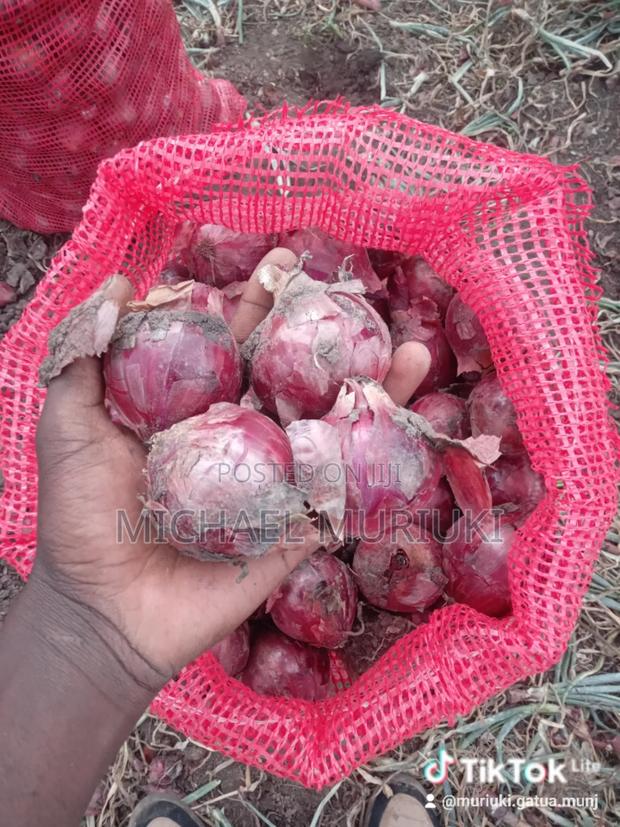 Dm Onions Wholesale - thumbnail 4