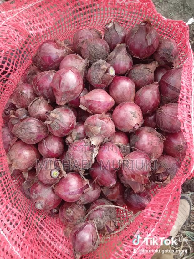 Dm Onions Wholesale - thumbnail 6