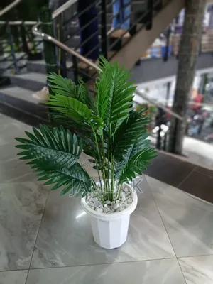 Artificial Potted Plant With Pebbles - Gw