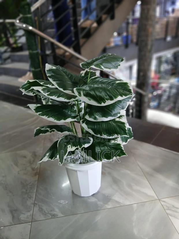 Artificial Potted Plant With Pebbles - Gw - thumbnail 3