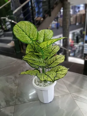 Artificial Potted Plant With Pebbles - Gw