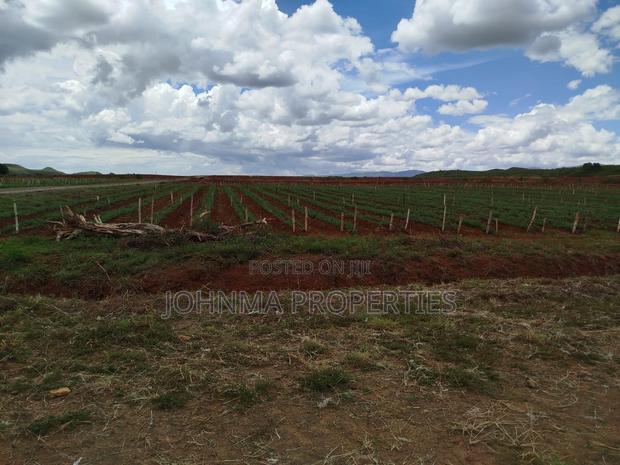 Prime Plot for Sales - thumbnail 3