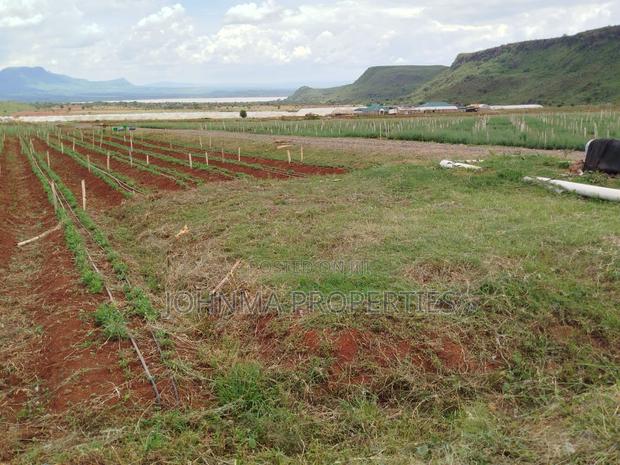 Prime Plot for Sale - main view