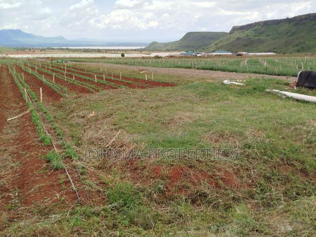 Prime Plot for Sale - thumbnail 2