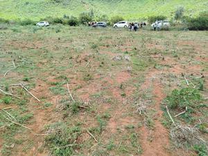 Prime Plots - thumbnail 2