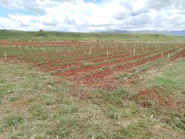 Prime Plots - thumbnail 3