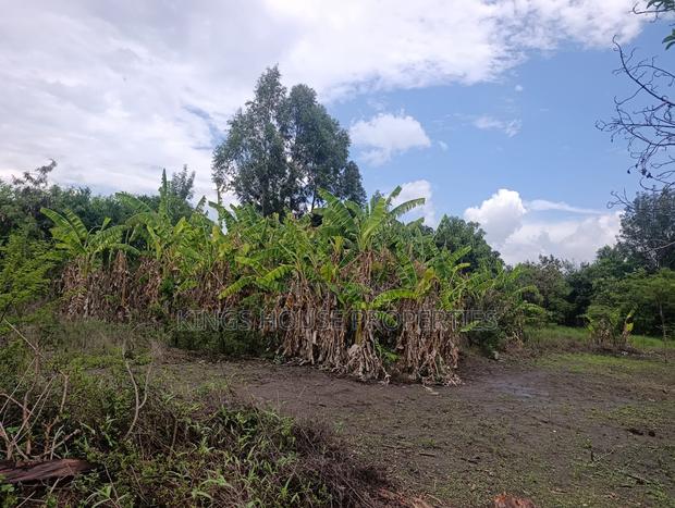 2 Plots of Land Measuring 52 X 100 Within Kamakis - thumbnail 4