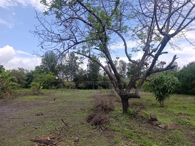 2 Plots of Land Measuring 52 X 100 Within Kamakis - thumbnail 6