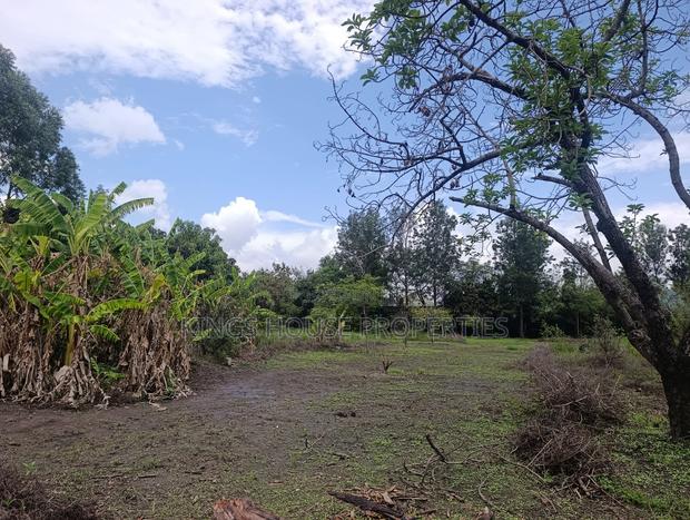 2 Plots of Land Measuring 52 X 100 Within Kamakis - thumbnail 8