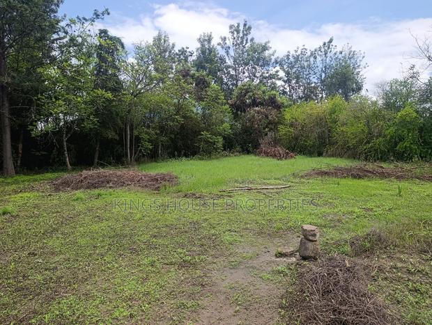 2 Plots of Land Measuring 52 X 100 Within Kamakis - thumbnail 9