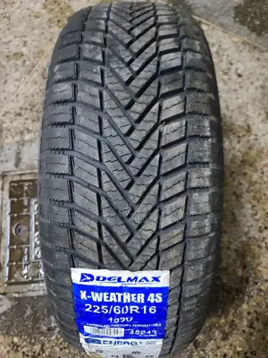 225/60r16 Delmax Tyres 102 v X-Weather 4s