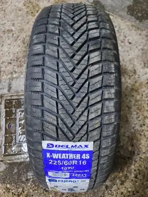 225 /60 R16 Delmax Tyres 102v X-Weather 4s