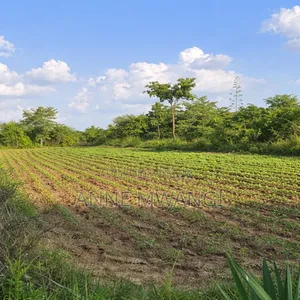 50 by 100 Plots in Matuu