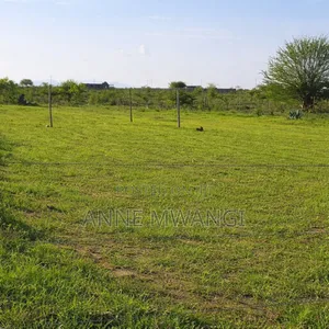 50 by 100 Plots in Matuu