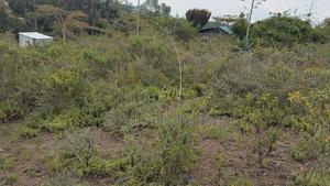 Prime Plots - thumbnail 2