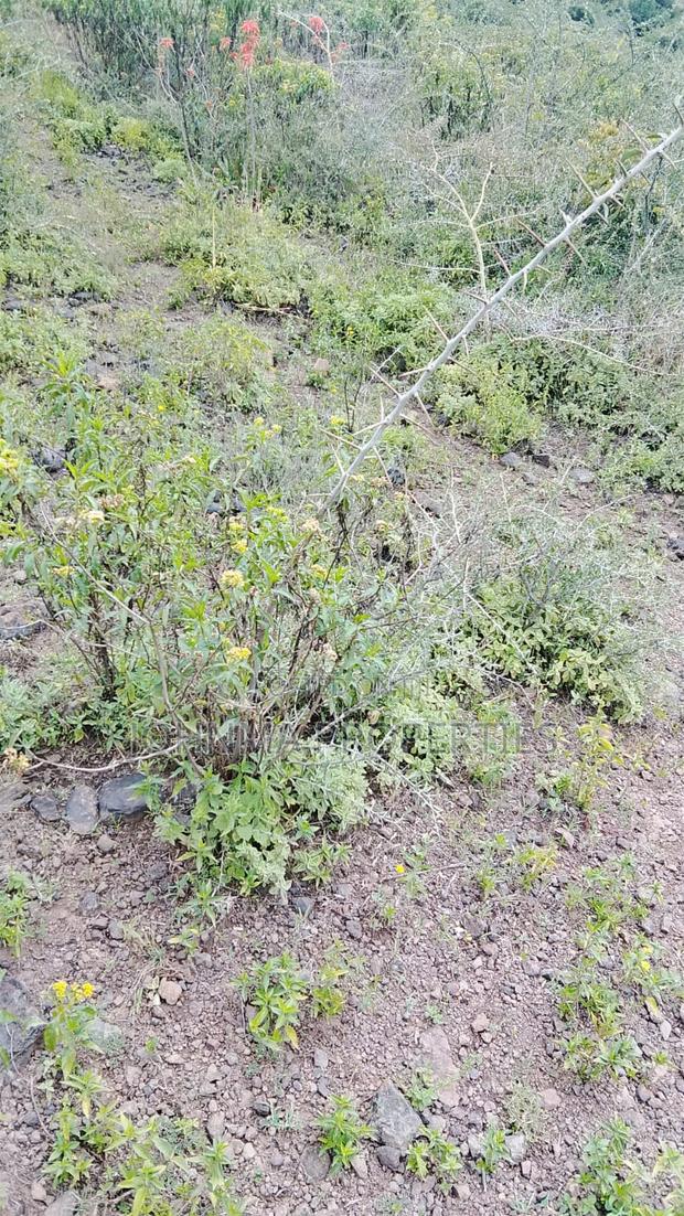 Prime Plots - thumbnail 3