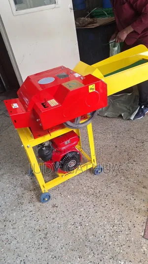 Speed Chopper Diesel Engine