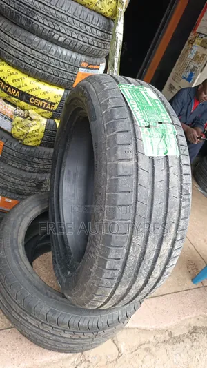 255/55r19 Dovroad