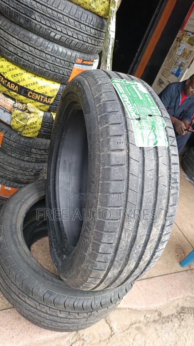 255/55r19 Dovroad