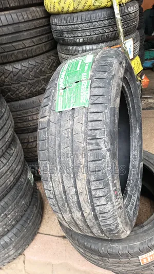255/55r19 Dovroad