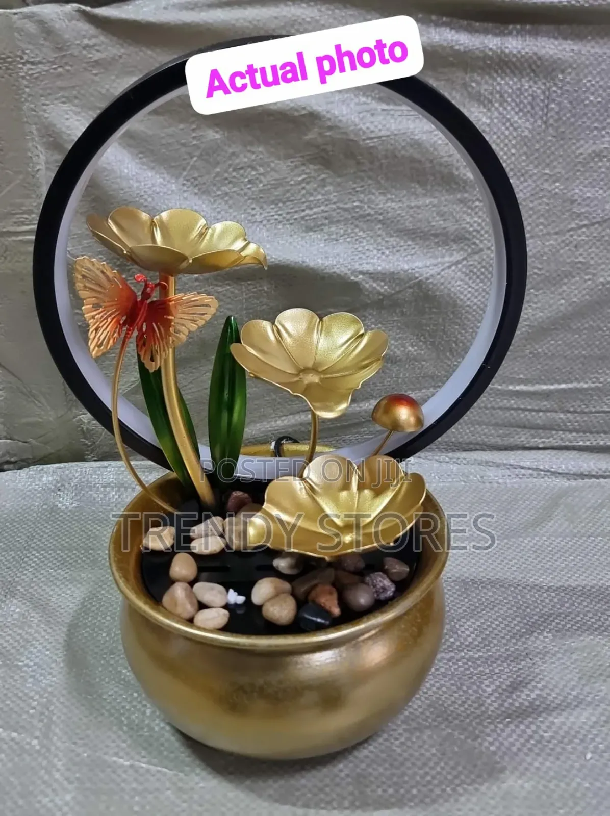 Electric Mini Water Fountain
