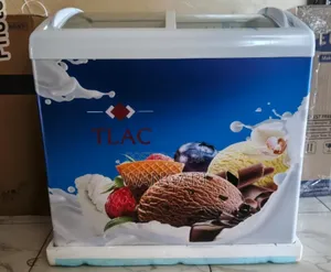 Display Freezer 259litres