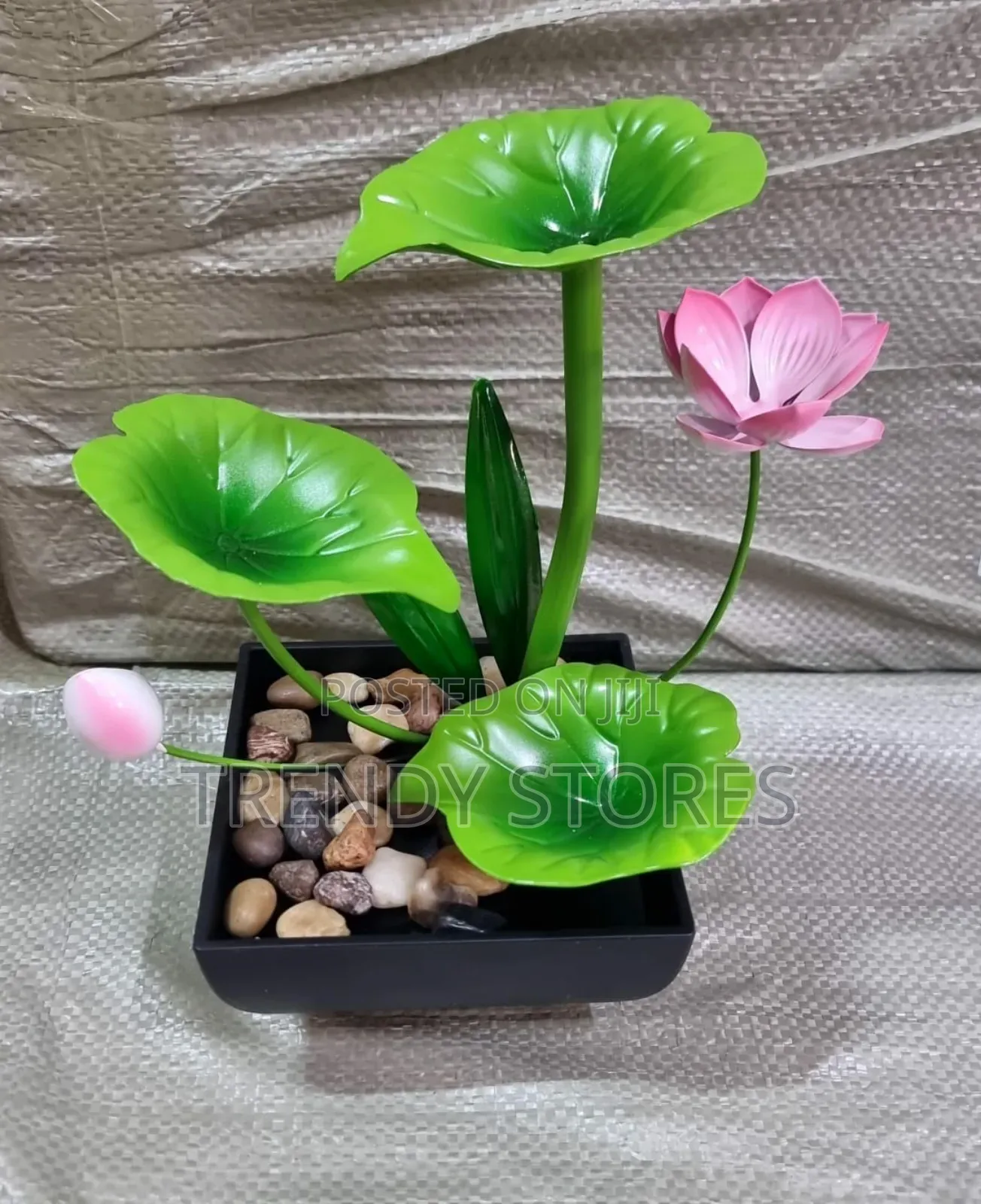 Electric Mini Water Fountain