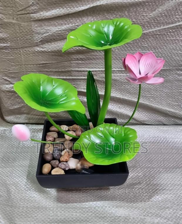 Electric Mini Water Fountain