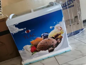 Display Freezer 259litres Tilac