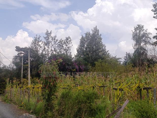 Roasters Land - main view