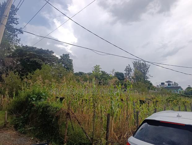 Roasters Land - thumbnail 2