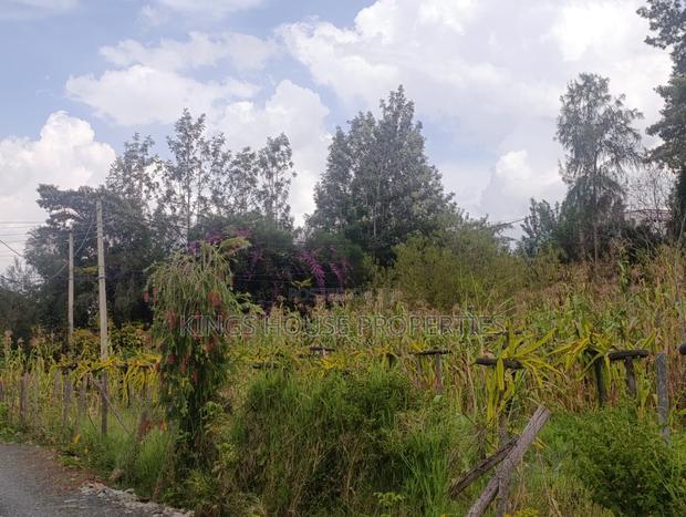 Roasters Land - thumbnail 3