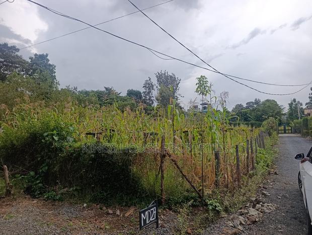 Roasters Land - thumbnail 4