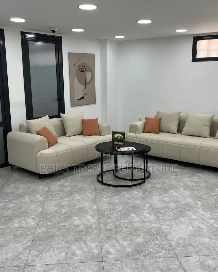3,2 Modernized Cushioned Sofa Set