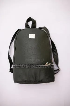 Modern Backpack, Leather Bag/Bags