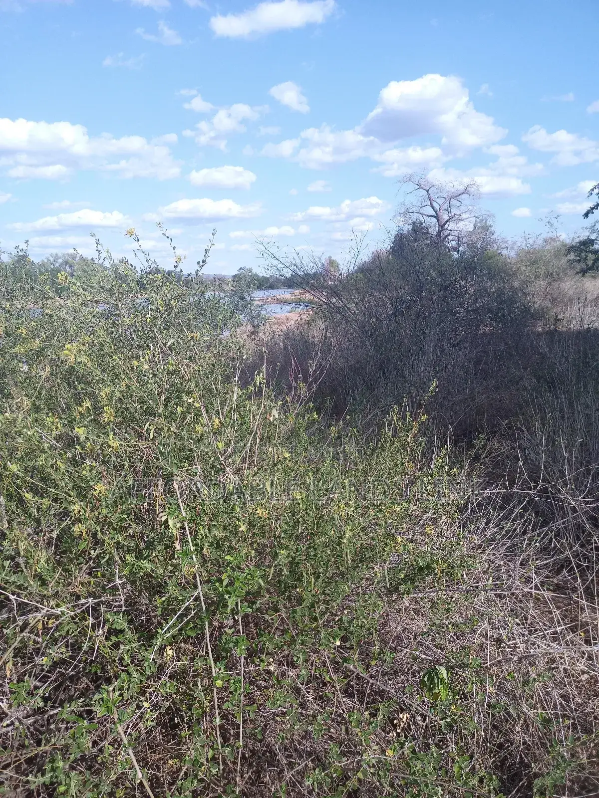 75acres Touching the River Athi at Kibwezi