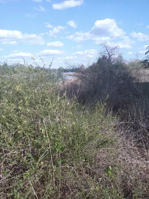 75acres Touching the River Athi at Kibwezi