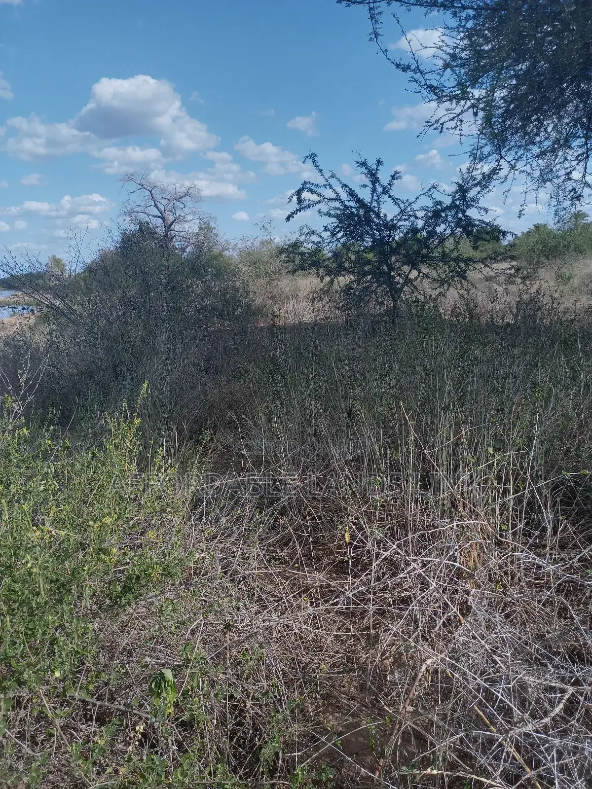 75acres Touching the River Athi at Kibwezi