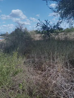 75acres Touching the River Athi at Kibwezi