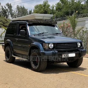 Mitsubishi Pajero 1991 Blue