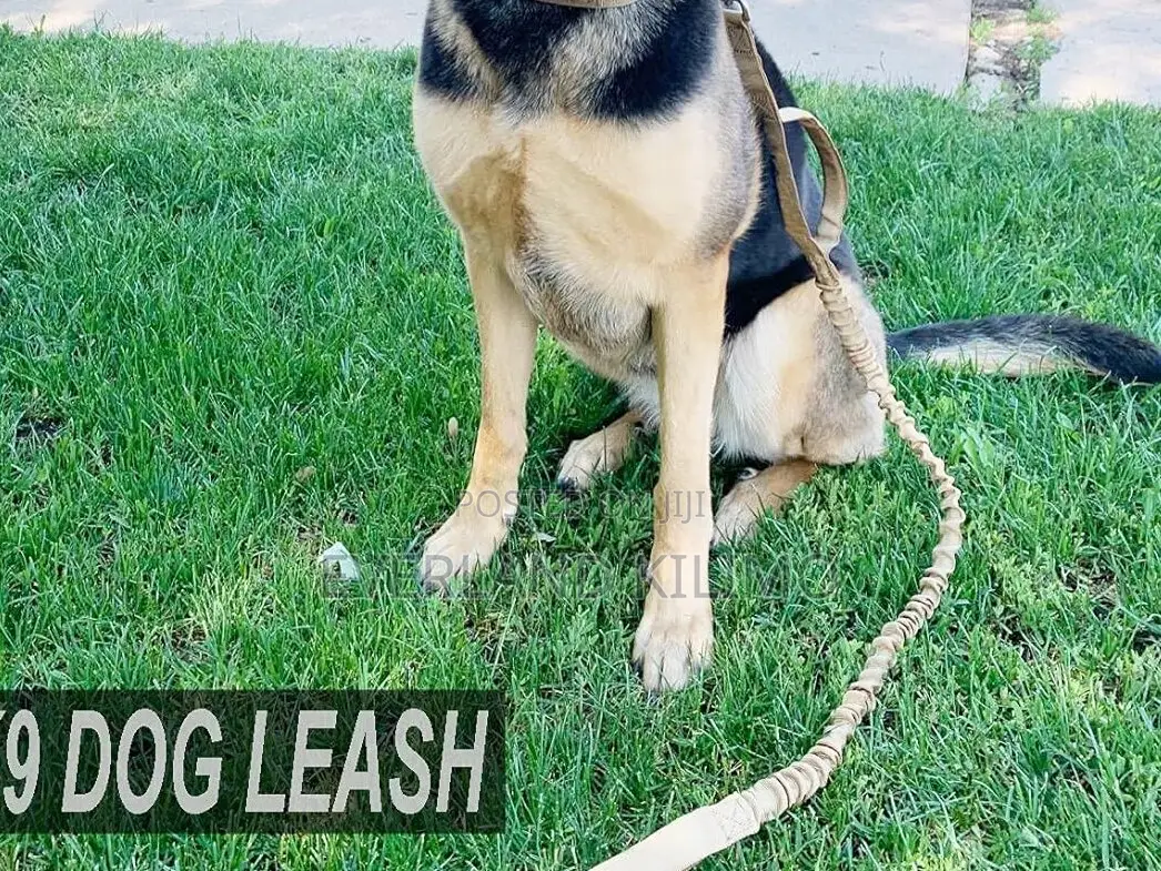 All-Purpose Tactical Dog Leash – Durable Adjustable