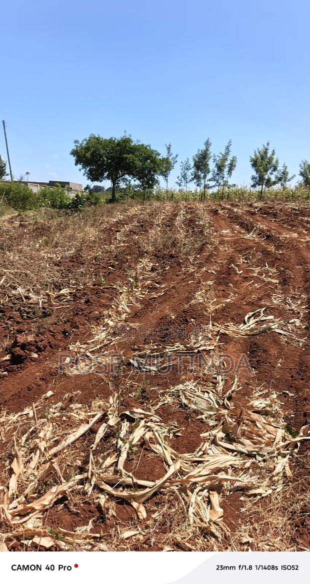 Kyanzavi Farm - main view
