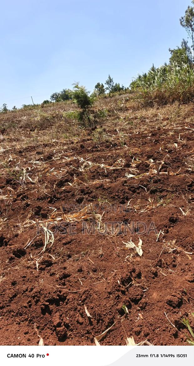 Kyanzavi Farm - thumbnail 3