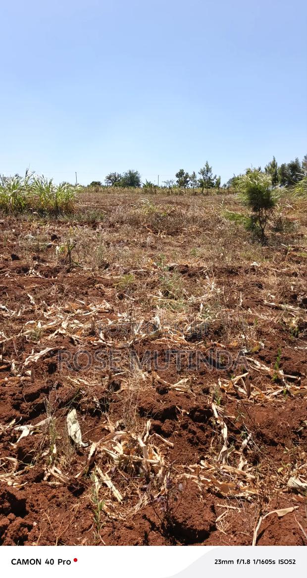 Kyanzavi Farm - thumbnail 4