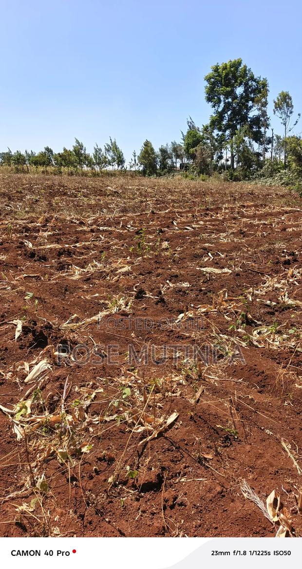 Kyanzavi Farm - thumbnail 5